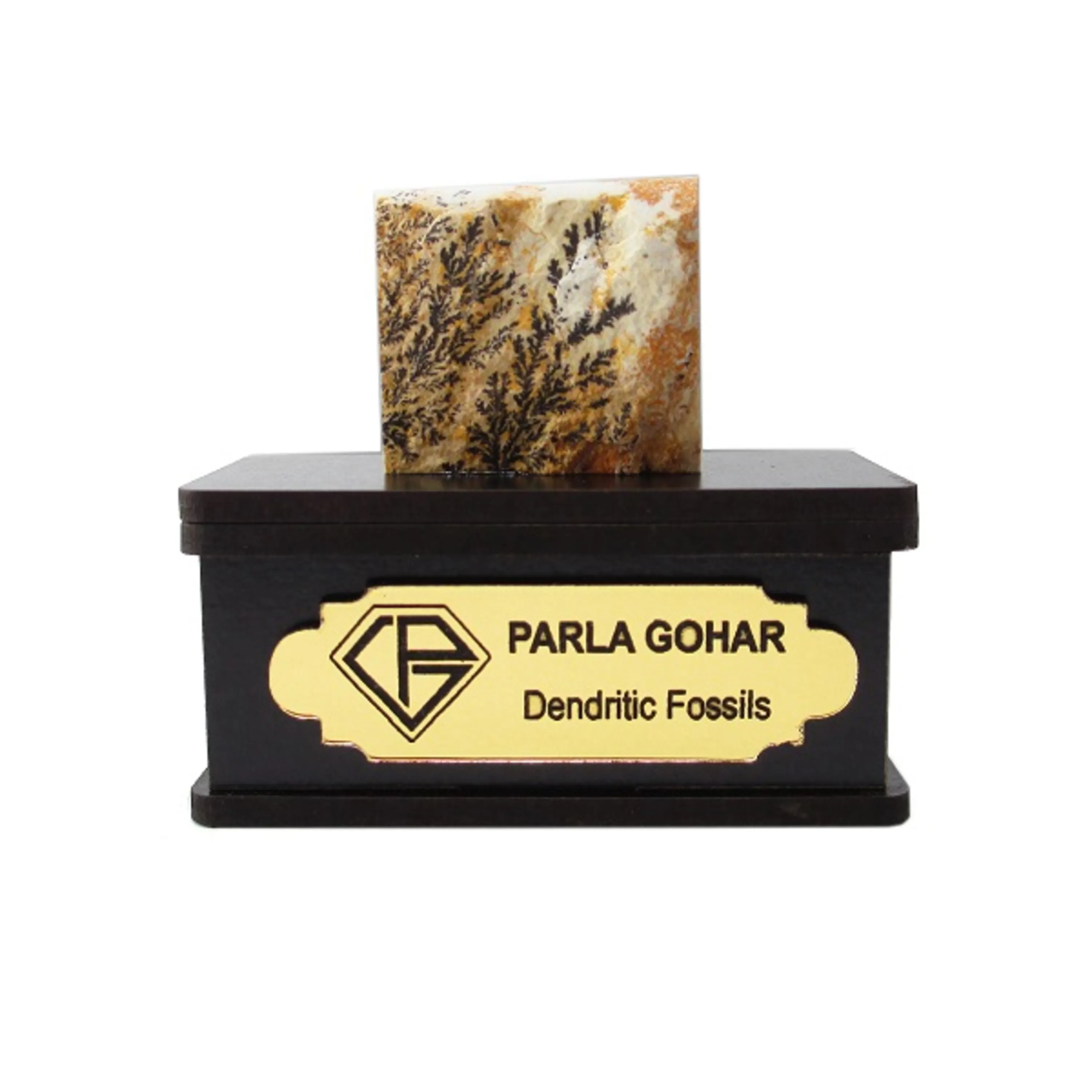 dendritic-fossil-2201